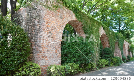 Ivy creeping on a brick wall 129694886