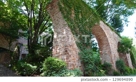 Ivy creeping on a brick wall 129694890