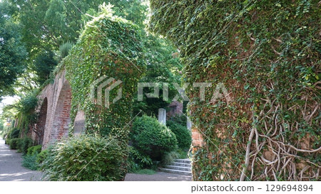 常春藤爬在磚牆上 常春藤爬在磚牆上 129694894