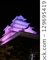 Illuminated castle at night 129695419