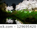 Cherry blossoms at night 129695420