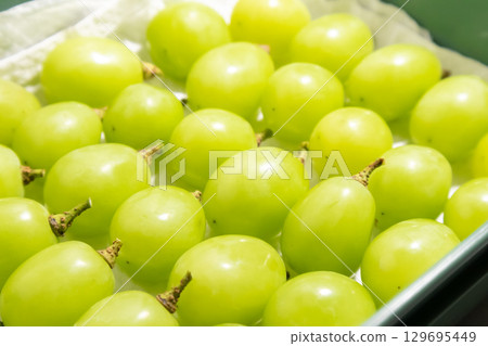如何儲存葡萄 129695449