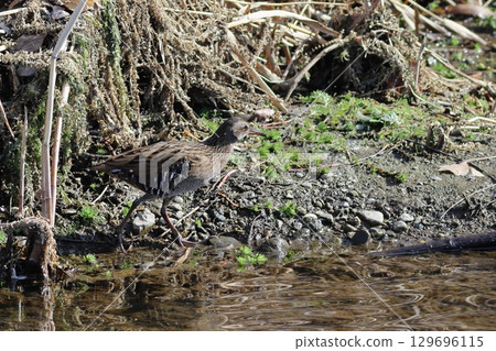 A rail comes out onto open water 129696115