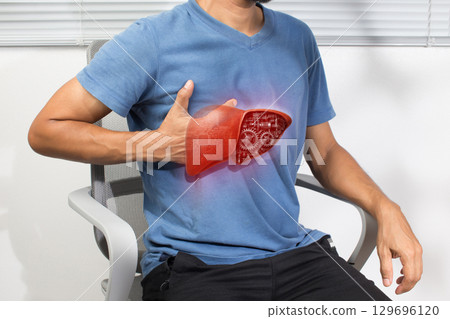 This image shows liver mechanisms and processes. highlighting its vital role among human organs. 129696120