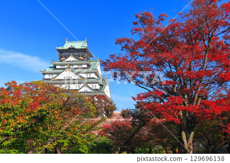 [大阪府]晴天時的大阪城和紅葉 129696138