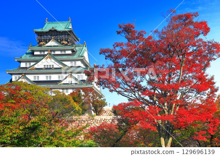 [大阪府]晴天時的大阪城和紅葉 129696139