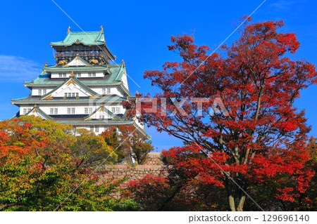 [大阪府]晴天時的大阪城和紅葉 129696140