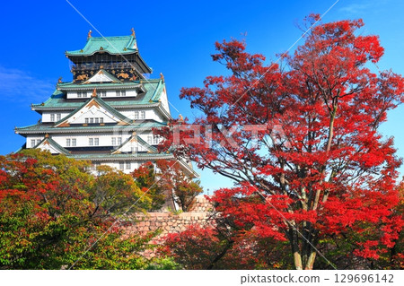 [Osaka Prefecture] Osaka Castle and autumn leaves on a clear day 129696142