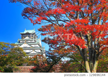 [Osaka Prefecture] Osaka Castle and autumn leaves on a clear day 129696144
