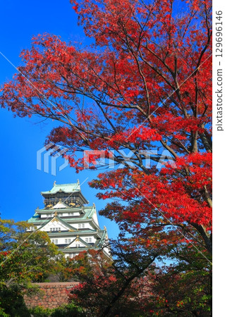 [大阪府]晴天時的大阪城和紅葉 129696146