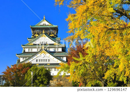 [大阪府] 晴朗天氣下的大阪城和銀杏樹 129696147