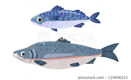 Mackerel and salmon set, watercolor hand-drawn illustration Mackerel and salmon set, watercolor hand-drawn illustration 129696201