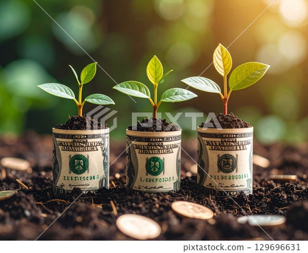 Money Plants Money Plants 129696631