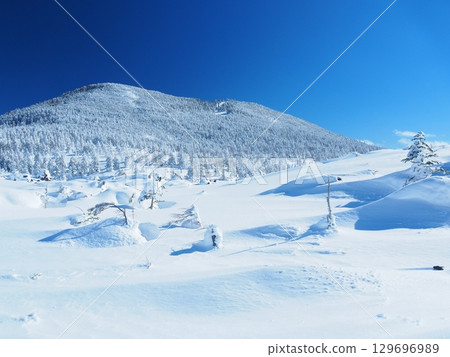 Winter in the Northern Yatsugatake Mountains, seen from a small garden 129696989