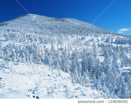 冬天的北八岳，從坪庭看到的鹿山 129696992