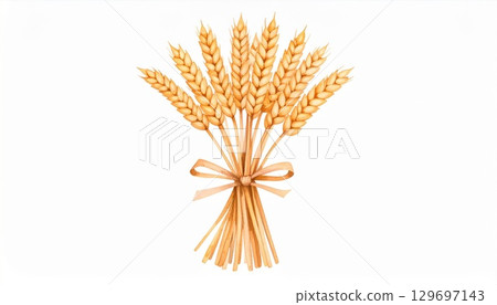 Golden Wheat Stalks Tied With a Ribbon Against a White Background 129697143
