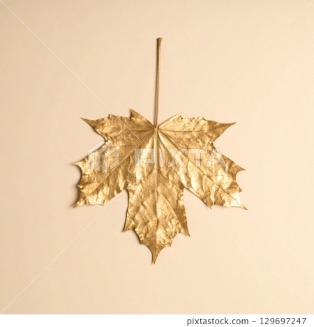 Golden Maple Leaf on Beige Background in Flat Lay Still Life for Autumn Season 129697247