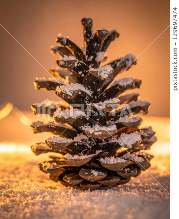 Single Pinecone Covered in Snow with Warm Lighting on a Winter Background Single Pinecone Covered in Snow with Warm Lighting on a Winter Background 129697474