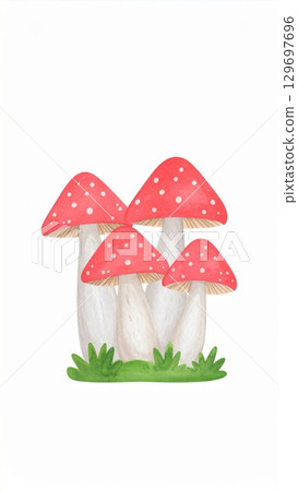 Four Red And White Spotted Mushrooms Growing In Green Grass Patch In Forest 129697696