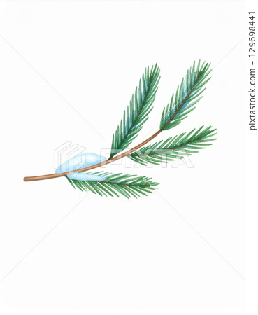 Illustration of Green Needle Pine Branch with Snow on White Background 129698441