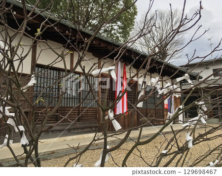 A tree with fortune slips tied to it 129698467