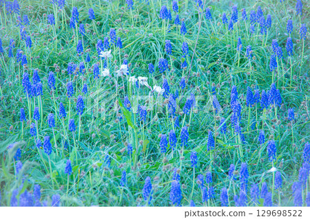 Personality blossoming 129698522