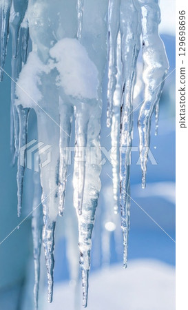 Translucent Icicles Hanging with Melting Snow in Cold Winter Day Outdoors 129698696