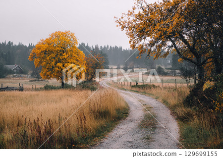 Beautiful autumn countryside 129699155