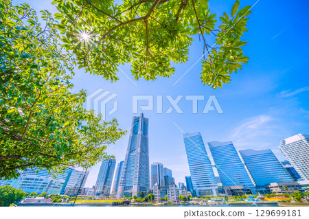 日本橫濱的城市景觀，有飛機尾跡、透過樹木的陽光以及橫濱地標塔等建築物 129699181