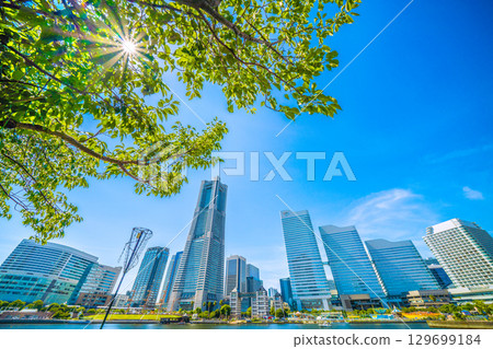 日本橫濱的城市景觀，有飛機尾跡、透過樹木的陽光以及橫濱地標塔等建築物 129699184