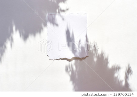 Torn paper on white surface with soft plant shadows creating minimalist 129700134