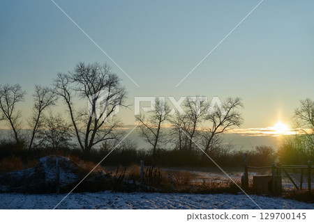 Winter sunrise over snowy landscape with bare trees and clear sky in tranquil 129700145