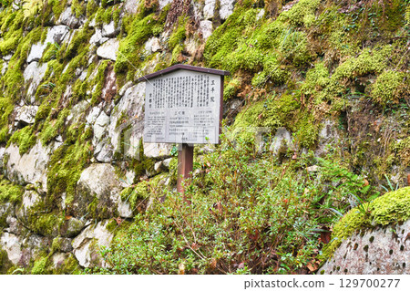 Ohara: Moss-covered stone wall on the approach to Sanzen-in Temple (Sakyo Ward, Kyoto City, Kyoto Prefecture) 129700277