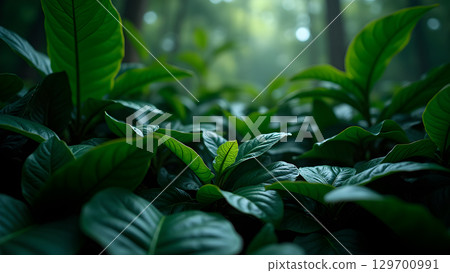 Lush green foliage with blurry background showcasing the intricate patterns of natural plant life in detail 129700991