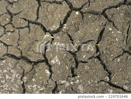 Dry cracked earth close-up texture. Soil erosion. Climatechange Concept Dry cracked earth close-up texture. Soil erosion. Climatechange Concept 129701646