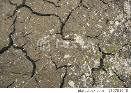 Dry cracked earth close-up texture. Soil erosion. Climatechange Concept 129701648