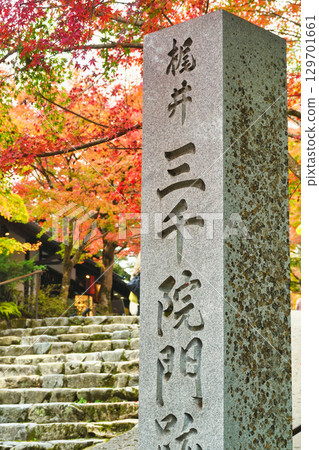 大原三千院階梯前美麗的秋葉(京都府京都市左京區) 大原三千院階梯前美麗的秋葉(京都府京都市左京區) 129701661