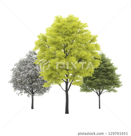 Three trees in different stages of foliage, showcasing seasonal changes with vibrant green, lush yellow, and frosty white leaves. image captures beauty of nature cycle Three trees in different stages of foliage, showcasing seasonal changes with vibrant green, lush yellow, and frosty white leaves. image captures beauty of nature cycle 129701931