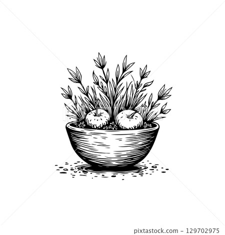 Black and white illustration of an ornamental bowl with apples and plants 129702975