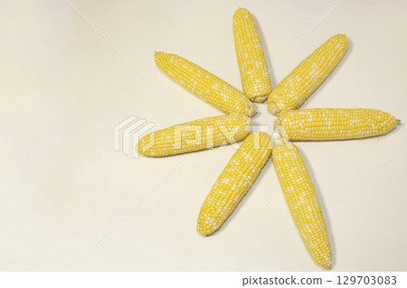 Seven raw ears of sweet corn in the shape of a star in the background. Sweet corn ears. Seven raw ears of sweet corn in the shape of a star in the background. Sweet corn ears. 129703083