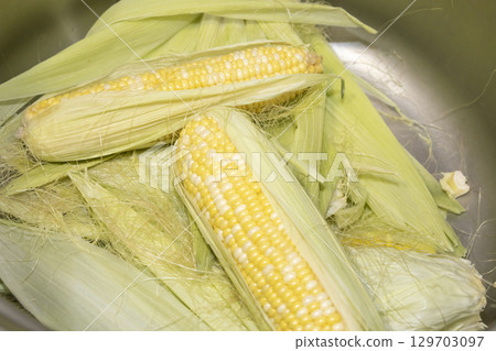 Cleaning raw cobs of sweet corn in Cleaning raw cobs of sweet corn in 129703097