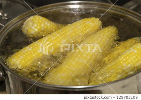 Cobs of sweet corn  in a pot of water boiled. Cooking sweet corn in saucepan. Tasty corn on cobs 129703109