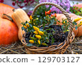 Various varieties of pumpkins and squash in woven basket demonstrate the essence of autumn harvest 129703127