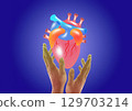 human heart held between hands, symbolizing healthcare and cardiac protection. Human heart anatomy 129703214