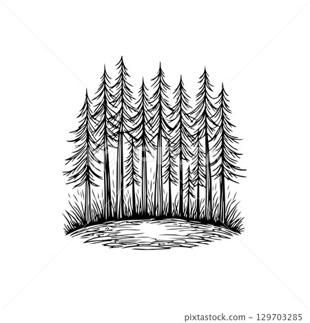Hand-Drawn Forest Illustration with Tall Trees and Lush Undergrowth Design 129703285