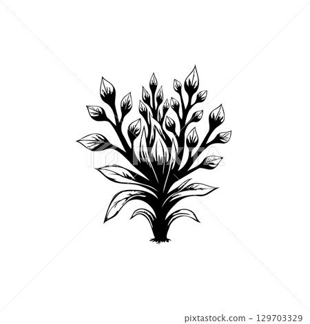 Elegant botanical illustration featuring stylized foliage on white background graphic Elegant botanical illustration featuring stylized foliage on white background graphic 129703329