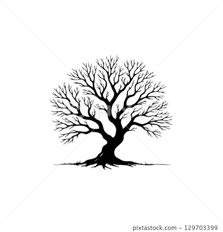 Elegant Black and White Silhouette of a Bare Tree Against a Clean Background Elegant Black and White Silhouette of a Bare Tree Against a Clean Background 129703399
