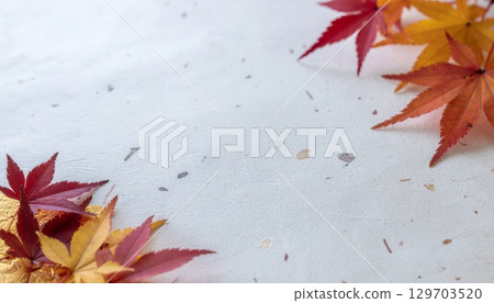 Japanese pattern, Japanese style background material (autumn background white Japanese paper) 129703520