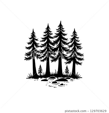 Monochrome Silhouette: A Tranquil Forest Grove of Evergreen Trees and Rocky Ground 129703629