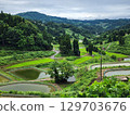 Rice terraces, pond terraces, landscape, rice fields, mountains, Yamakoshi, travel 129703676